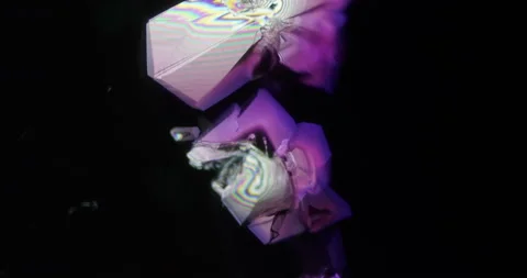 Timelapse of Cobalt chloride crystallization under polarized light Stock Footage 114307604