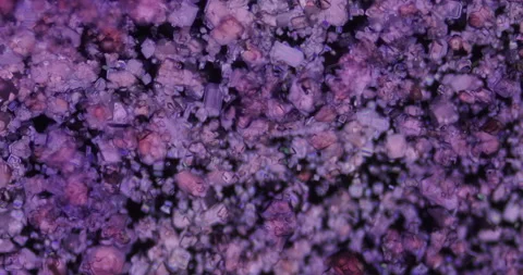 Timelapse of Cobalt chloride crystallization under polarized light Stock Footage 114314640