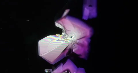 Timelapse of Cobalt chloride crystallization under polarized light Stock Footage 114326015