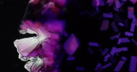 Timelapse of Cobalt chloride crystallization under polarized light Stock Footage 114330587