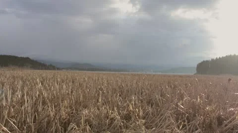 Timelapse Coeur D'Alene 库存影片 22105020