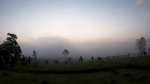 Timelapse colorful dramatic sky with cloud at sunset. Stock Footage 100175745