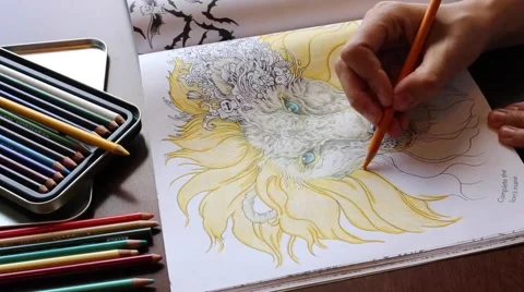 Timelapse coloring a lion drawing Stock Footage 64939559