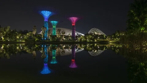 TImelapse of Colour-Changing Supertrees with Reflection at Gardens by the Bay Stock Footage 77745391
