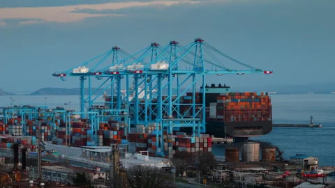 Timelapse of container ship being loaded and unloaded by gantry cranes in a Stockbeeldmateriaal 333291310
