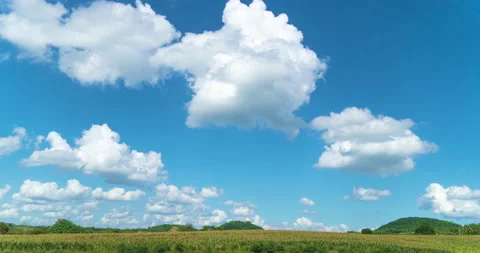 Timelapse of corn field hill and white clouds Stock Footage 227100099