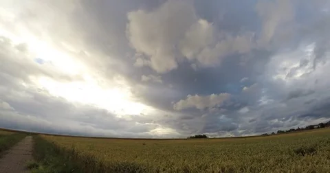 Timelapse Cornfield Stock Footage 82383873