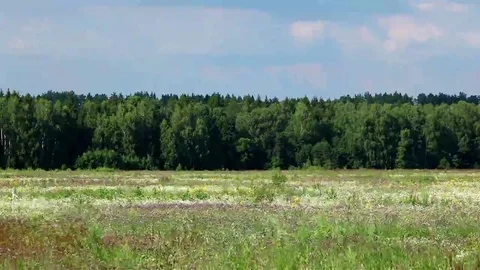 Timelapse of a countryside view Stock Footage 69100164