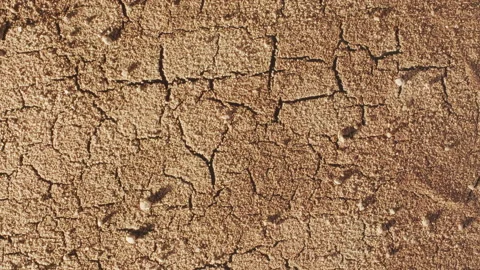 Timelapse of cracked soil in a desert drying out, cracked ground draining, Stock Footage 135878863
