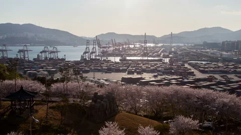 Timelapse cranes and coloured containers against hills Stock Footage 117214392