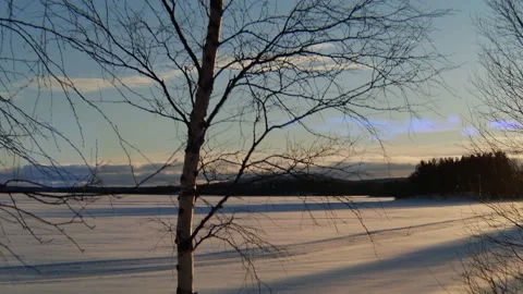 Timelapse crop Stock Footage 135465574