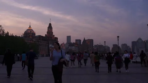 Timelapse crowd walking Stock Footage