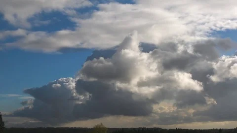 Timelapse of cumulus clouds cloudscape over forest landscape Stock Footage 81605149