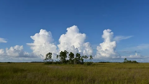 Timelapse of cumulus clouds forming over sawgrass prairie in Everglades 4K. Stock Footage 245091959