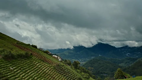 Timelapse of cumulus clouds moving in the blue sky above the greeen agriculture Stock Footage 261490637