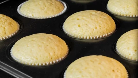 Timelapse - cupcakes, muffins baking and rising in electric oven: close up Stock Footage 160909252