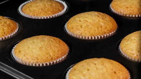 Timelapse cupcakes, muffins baking and rising in muffin tin in electric oven Stock-Footage 336576834