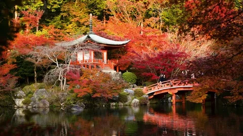 Timelapse Daigoji temple autumn Stock Footage 73642781