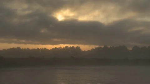 Timelapse in Danube Delta Video stock 75870159