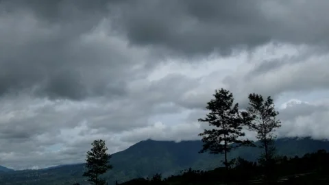 Timelapse of dark clouds on a hill with swaying trees Stock Footage 299391397