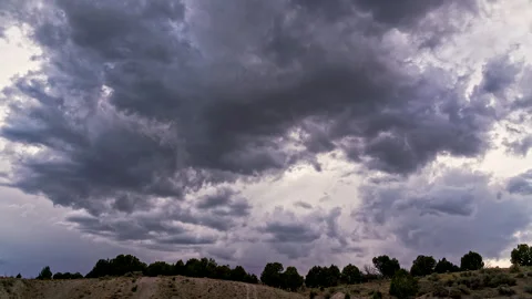 Timelapse of dark clouds moving overhead looking past a row of trees Stock Footage 344605239