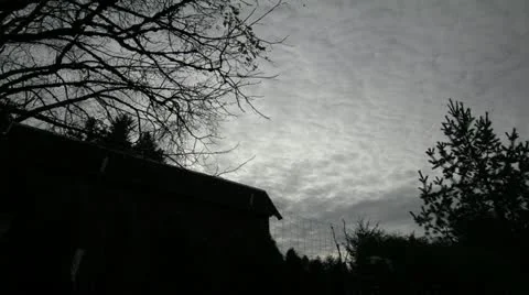 Timelapse on Dark Clouds with Trees on a Spooky Night 1080p Video stock 12616824