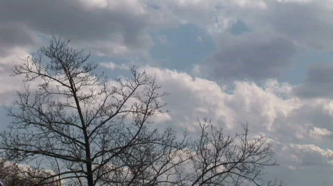 Timelapse Dark Sky 1 Stock Footage 100240