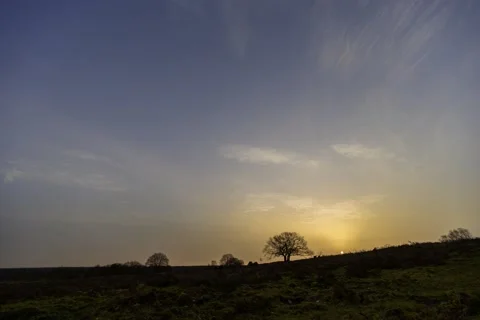 Timelapse Dawn and sunrise with clouds, trees and cows Video stock 149125796