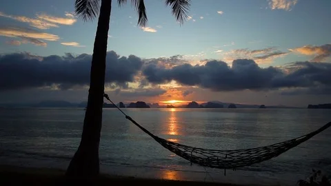 Timelapse. Dawn by the sea at a palm tree with a hammock. Stock Footage 80921913