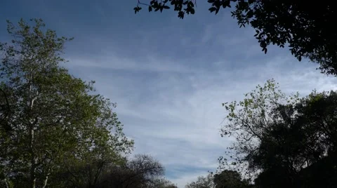Timelapse Day clouds to starry night campfire trees Stock Footage 44981448