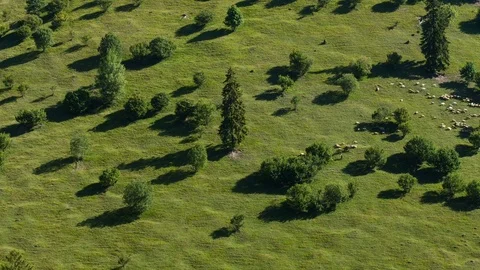 Timelapse of day passing on hillside Video stock 81388907