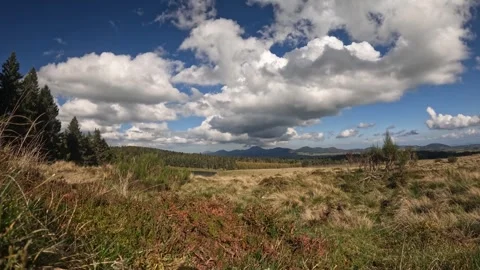 Timelapse - Daytime - Plain &amp; forst, clouds passing by 動画素材 289671757