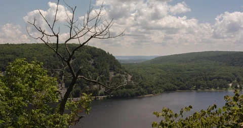 Timelapse of Dead Tree Overlooking Lake and Mountains Video stock 94537142