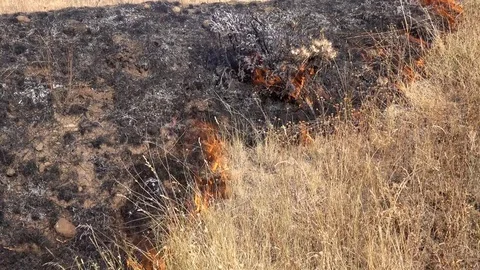 Timelapse of the deadly fire destroying field Stock Footage 80232529