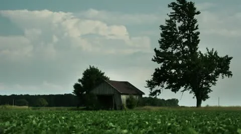 Timelapse decaying barn Vídeo Stock 11588858