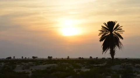 Timelapse of Desert Sunset Stock Footage 66449981
