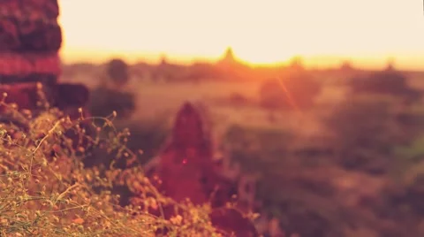Timelapse with dolly and focus pull - Pagodas in Bagan, Myanmar Stock Footage 61786759