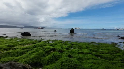 Timelapse Dramatic Clouds Over Boracay Beach Philippines With Moss Covered Stock Footage 333672988