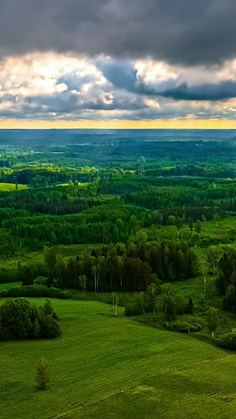 Timelapse of Dramatic Clouds Over Lush Green Forest and Fields in Daylight Stock Footage 340905592