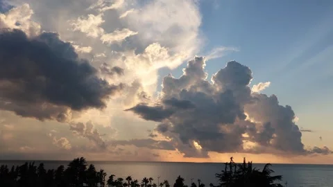Timelapse of Dramatic Sunset Over the Ocean with Golden Clouds and Palm Tree Stock Footage 344735353