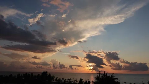 Timelapse of Dramatic Sunset Over the Ocean with Golden Clouds and Palm Tree Stock Footage 344735391