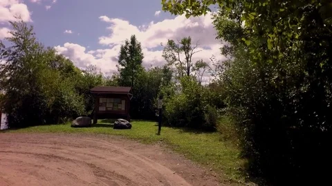 Timelapse drive through the forest Stock Footage 80095047