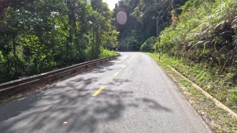 Timelapse. Driving in green mountain area. POV. Sunny day. Lam Dong, Vietnam Stock-Footage 239406463