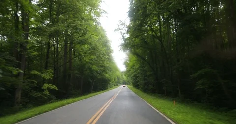 Timelapse of Driving through the winding roads of the Great Smoky Mountains Video stock 91773020