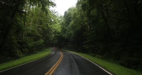 Timelapse of Driving through the winding roads of the Great Smoky Mountains Vidéo 91773117