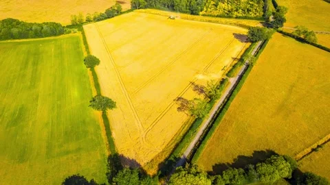 Timelapse drone view of combine harvester harvesting wheat field. Aerial rural Stock Footage 341332862