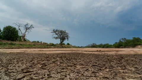 Timelapse of a dry river bed Stock Footage 310544873