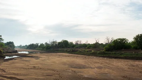Timelapse of a dry river bed Stock Footage 310544938