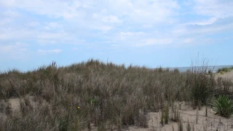 Timelapse Dune Grass &amp; Sky In North Carolina Stock-Footage 106673884