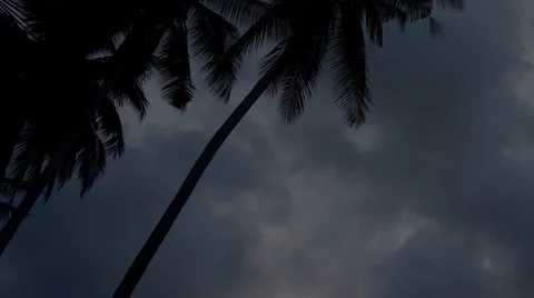 Timelapse of dusk sky over the trees. Stock Footage 58952207